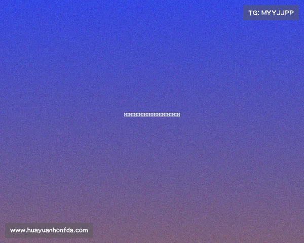 洛杉矶银河最新赛事盘点精彩对决与未来展望分析