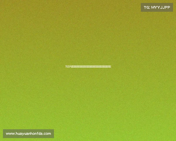 NBA篮球赛事全方位介绍包括当前赛季比赛回顾明星球员表现预测