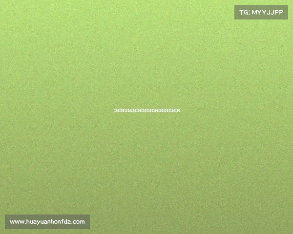 大型体育赛事推动区域基础设施升级与经济文化融合发展研究